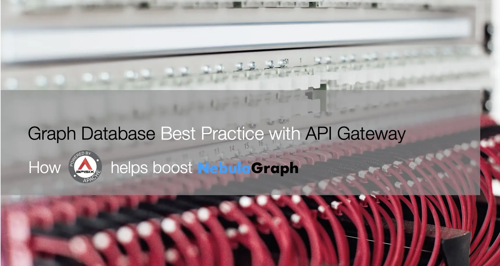 本文介绍了利用开源 API 网关 APISIX 加速 NebulaGraph 多个场景的落地最佳实践：负载均衡、暴露存储接口与 TLS Termination。