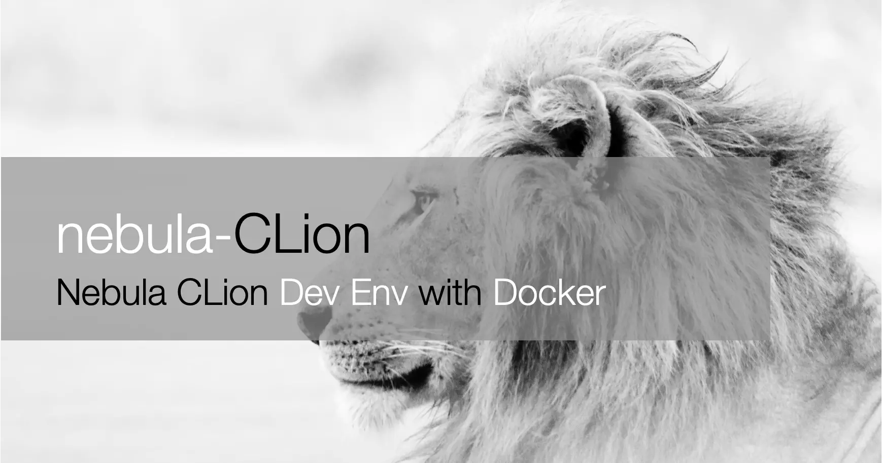 Featured image for Nebula CLion: Setup Nebula Graph Dev Env with CLion and Docker