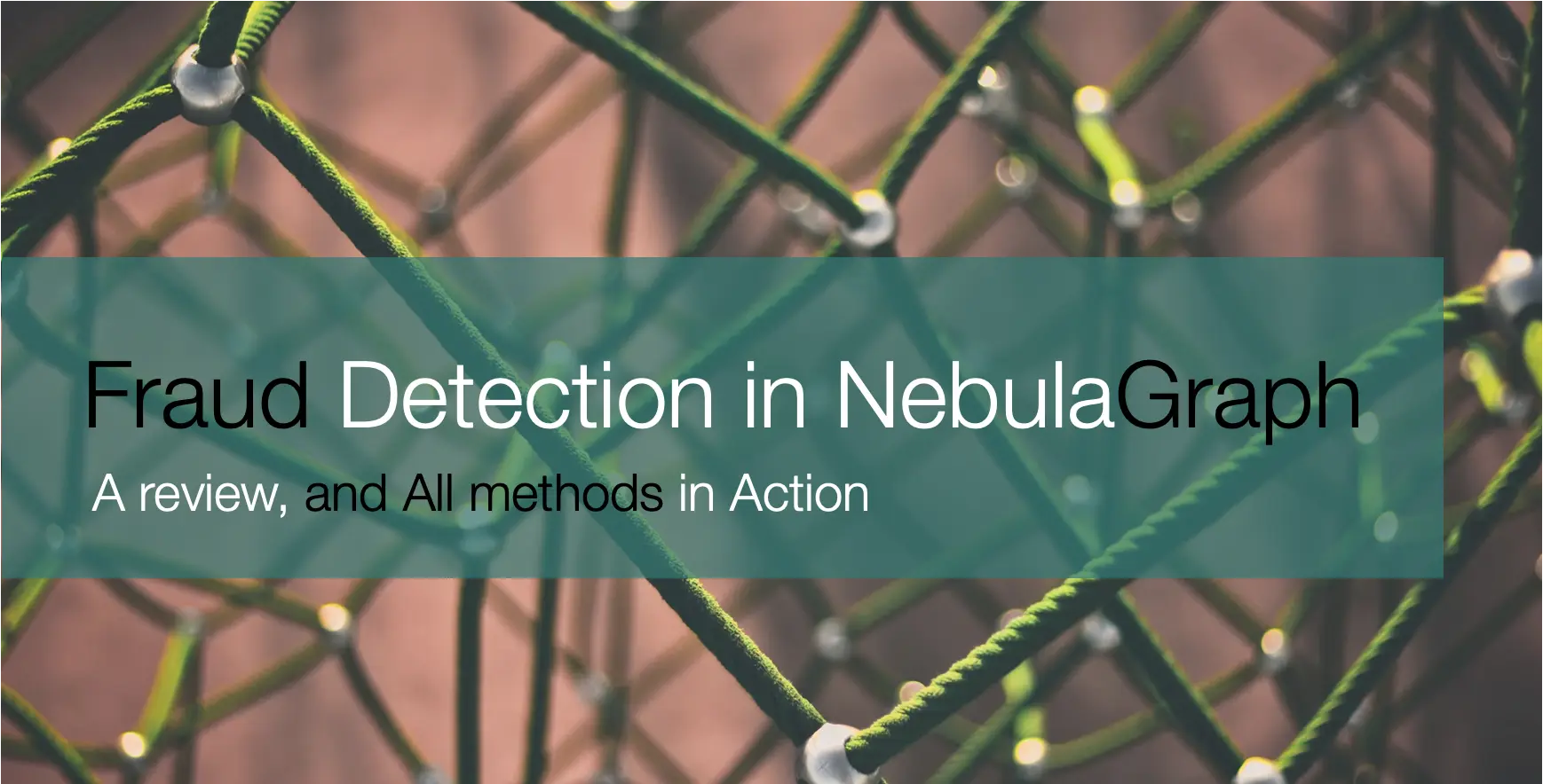 本文是一个基于 NebulaGraph 上的图算法、图数据库、机器学习、图神经网络的 Fraud Detection 方法综述，除了基本方法思想的介绍之外，我还给大家弄了可以跑的 Playground。值得一提的是，这还我第一次给大家介绍 Nebula-DGL 这个项目 😁。