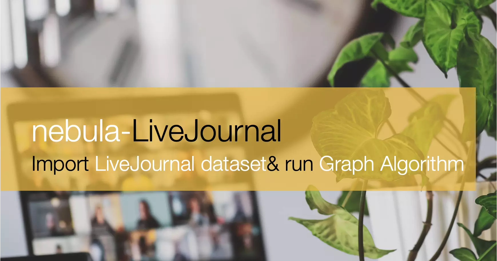 Import LiveJournal Dataset into Nebula Graph and Run Nebula Algorithm 导入 Livejournal 数据集到 Nebula 并运行 Nebula Algorithm 图算法